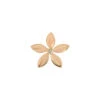 APPLE SEED GOLD DIAMOND XSMALL PIERCING 1 APPLE SEED GOLD DIAMOND XSMALL PIERCING -Bee Goddess ELMCXSPGPI d6efd5bb 2576 4c78 a417 1e9fa80a6934