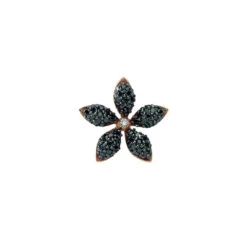 APPLE SEED GOLD BLACK DIAMOND SINGLE EARRING